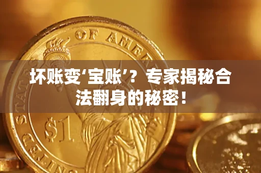 北京坏账变‘宝账’？专家揭秘合法翻身的秘密！