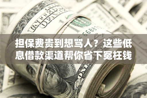 北京担保费贵到想骂人？这些低息借款渠道帮你省下冤枉钱