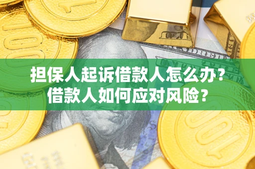 北京担保人起诉借款人怎么办？借款人如何应对风险？