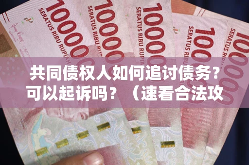 北京共同债权人如何追讨债务？可以起诉吗？（速看合法攻略）