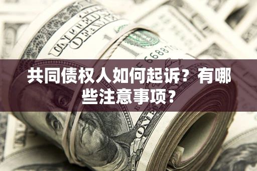 北京共同债权人如何起诉？有哪些注意事项？